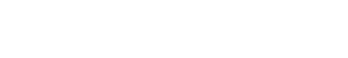 Shopify Partners